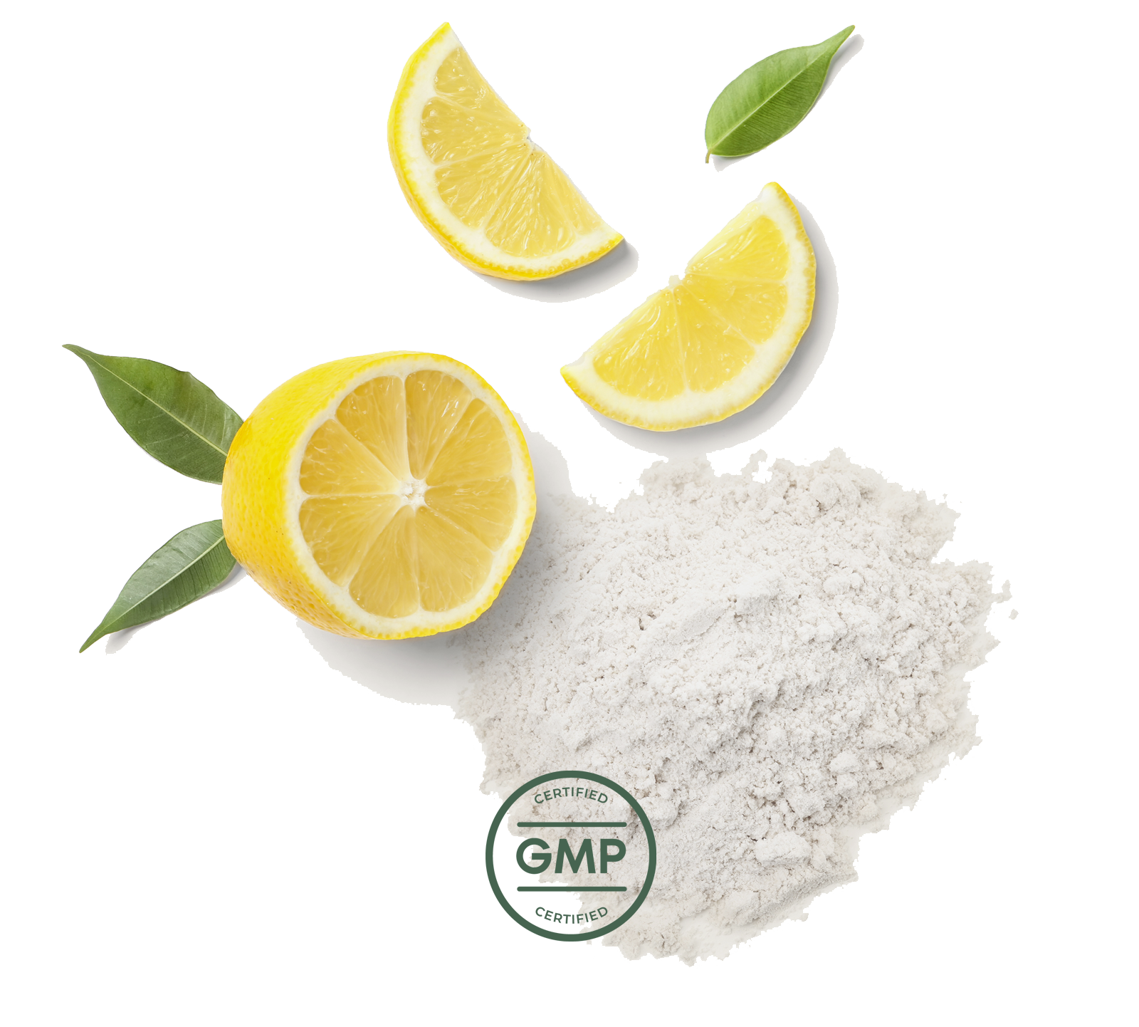 Primal Multivitamin